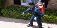 Residential Pest Control Brisbane image 1